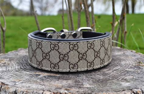 gucci collar for dog|authentic gucci dog collar.